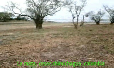 la mata cesar,playa verano