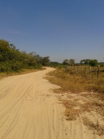carretera,,hacia ,la mata cesar
